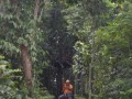 Tn DSC 4292